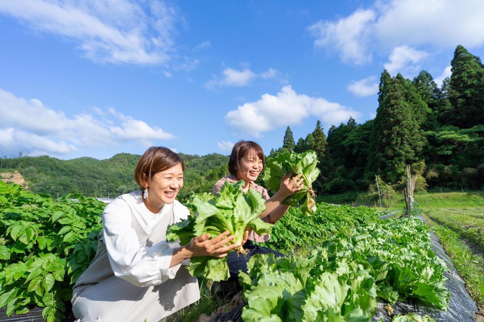 Music Forest Villa&Camp Tamba-Sasayama Dış mekan fotoğraf